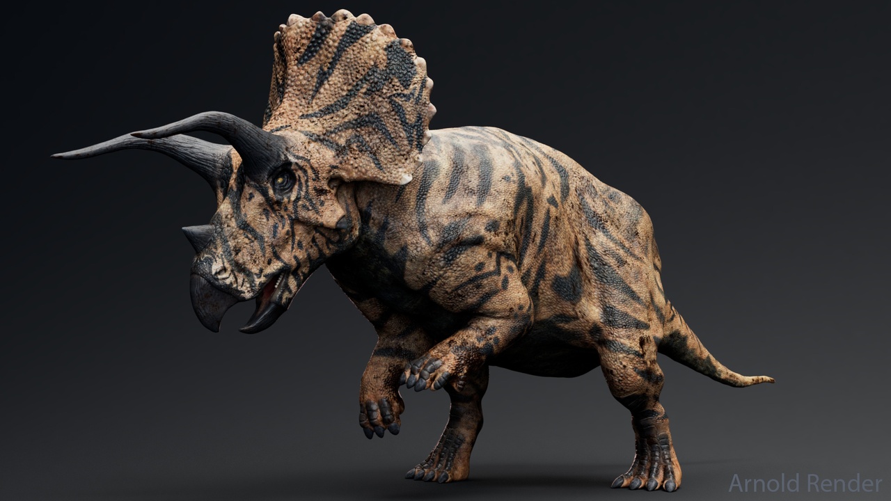 Media 1 for listing Dinosaur Triceratops