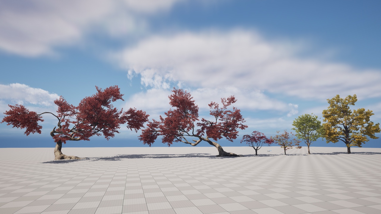 Media 1 for listing Tree Pack