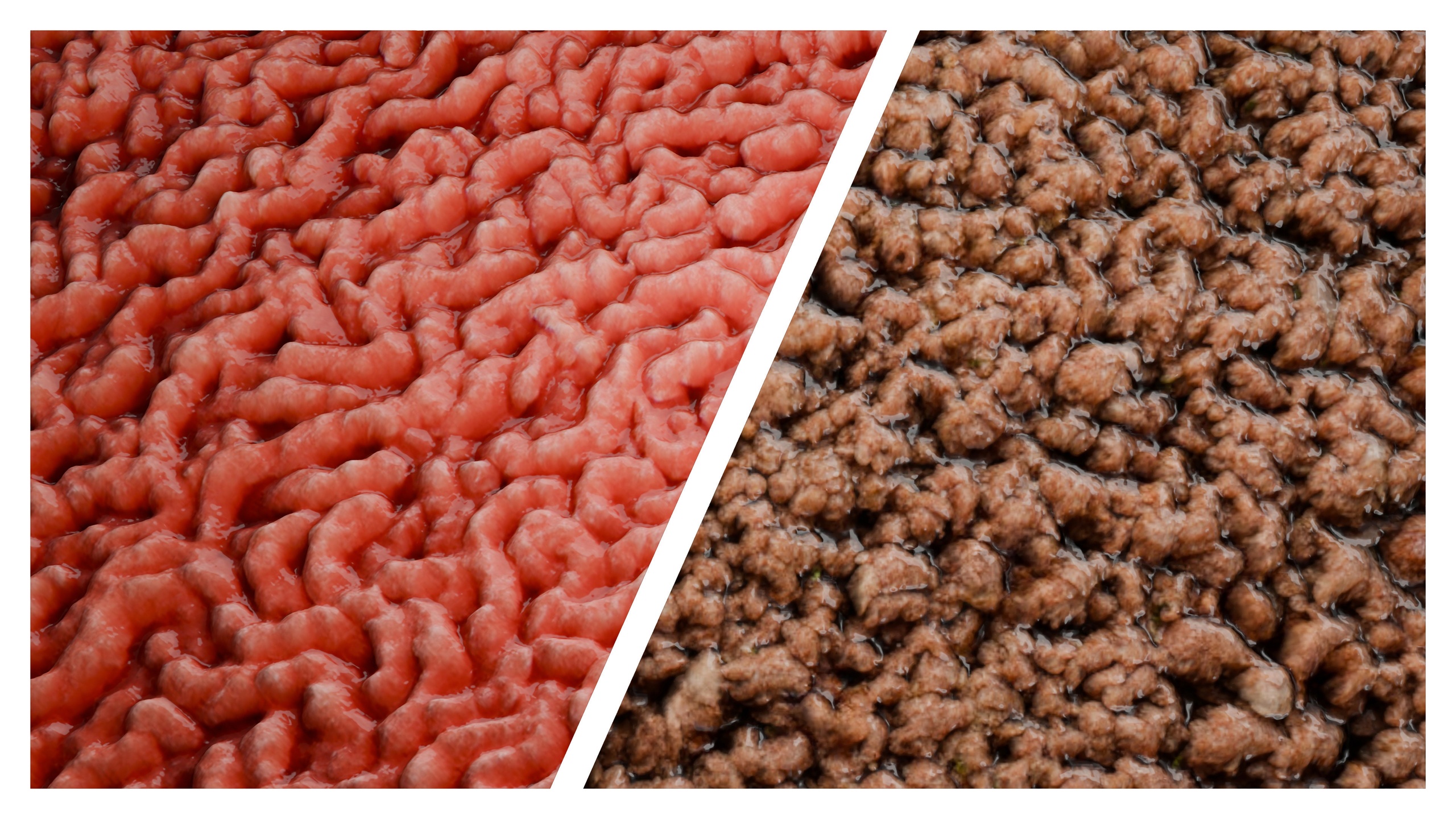 Media 1 for listing Minced Meat PBR Texture