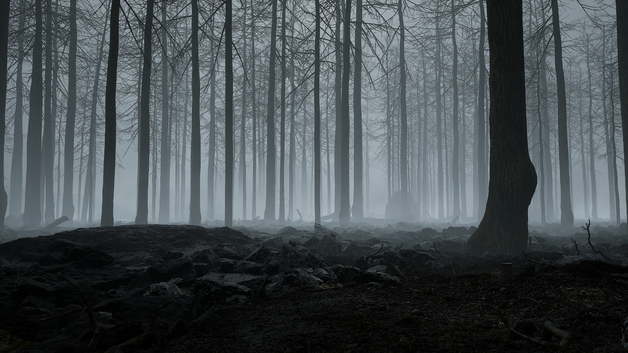 Media 1 for listing NATURE - Dead Fog Forest