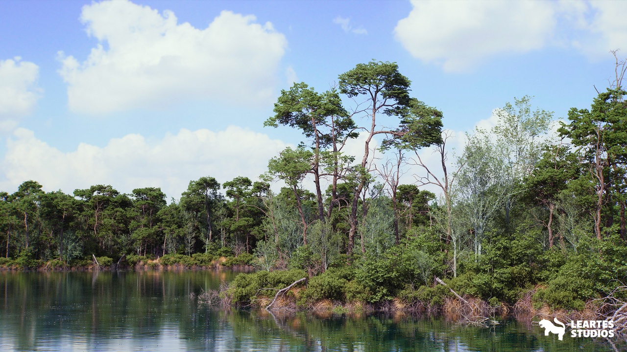 Media 1 for listing The Pine Environment ( Foliage Island PCG Nature River Nature Nature Biom )