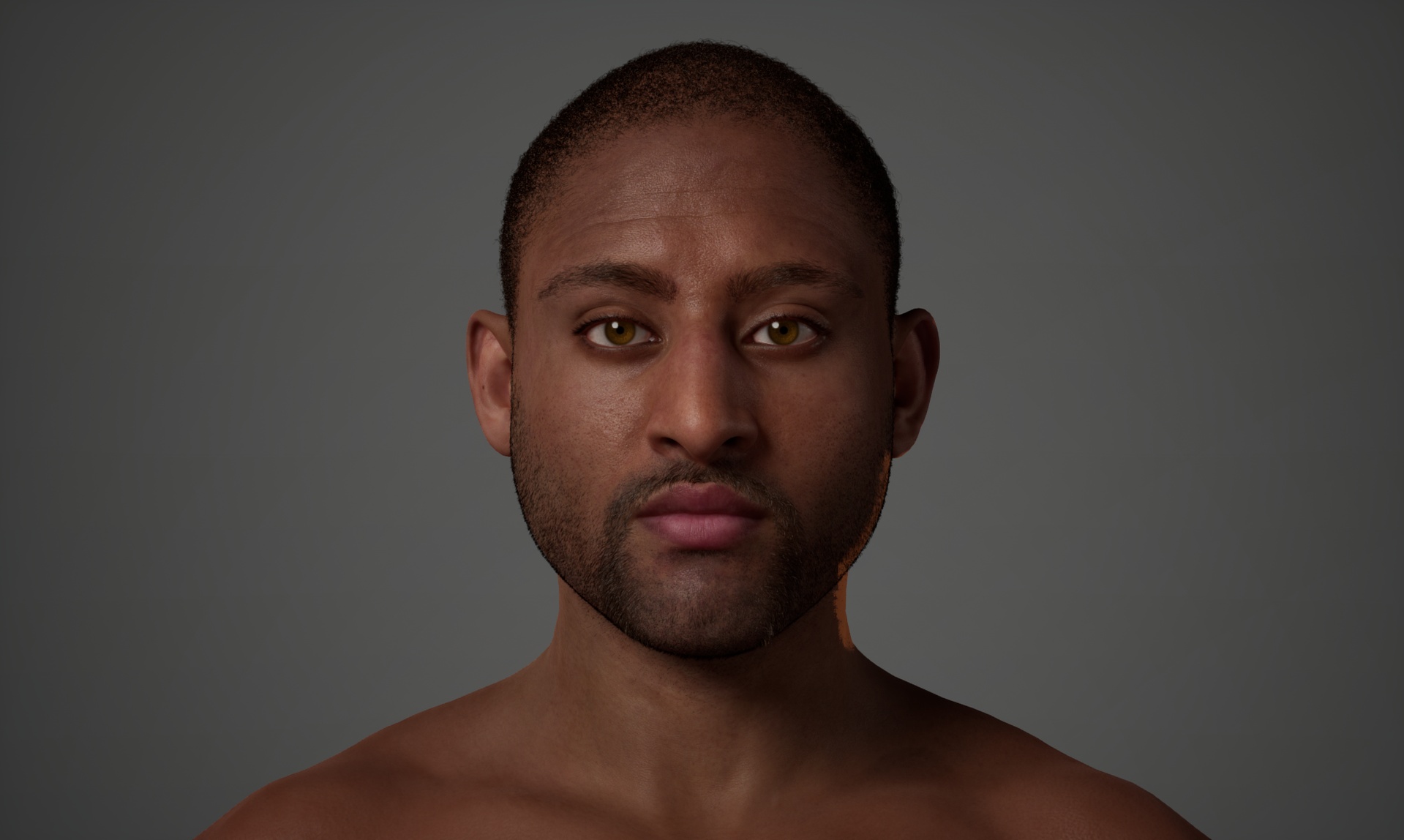 Media 1 for listing Terrence - Editable MetaHuman Character Preset