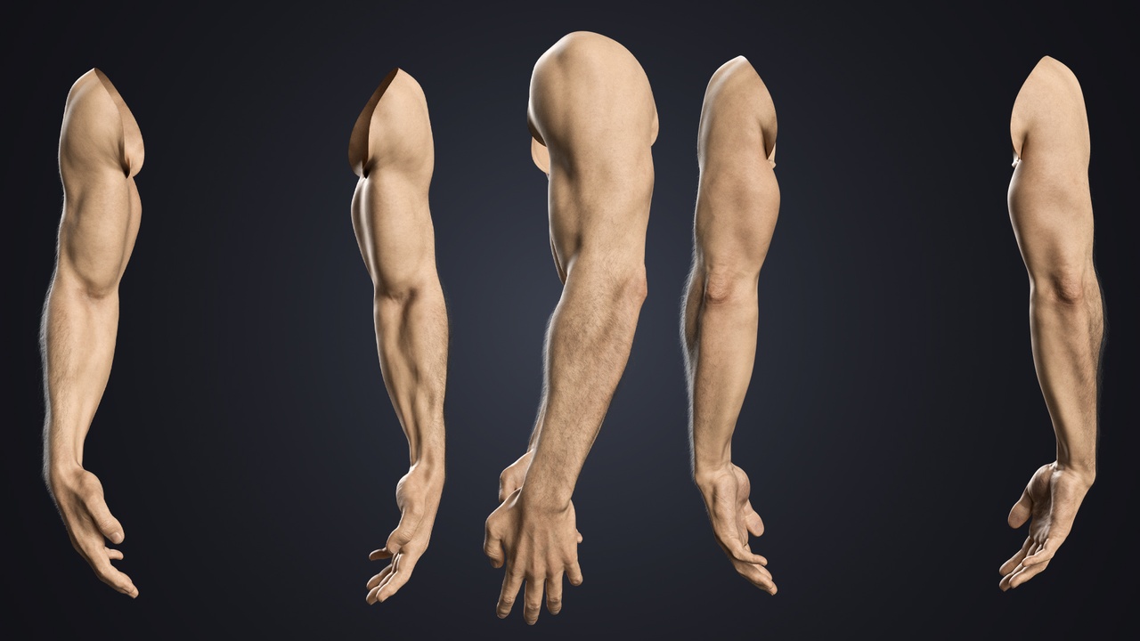 Media 1 for listing V-ARM 01 Realistic Male Hands