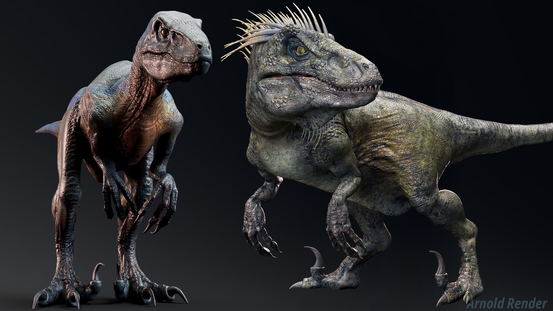 Disor Raptor Dinosaur Raptor Bundle Version 1 | Fab