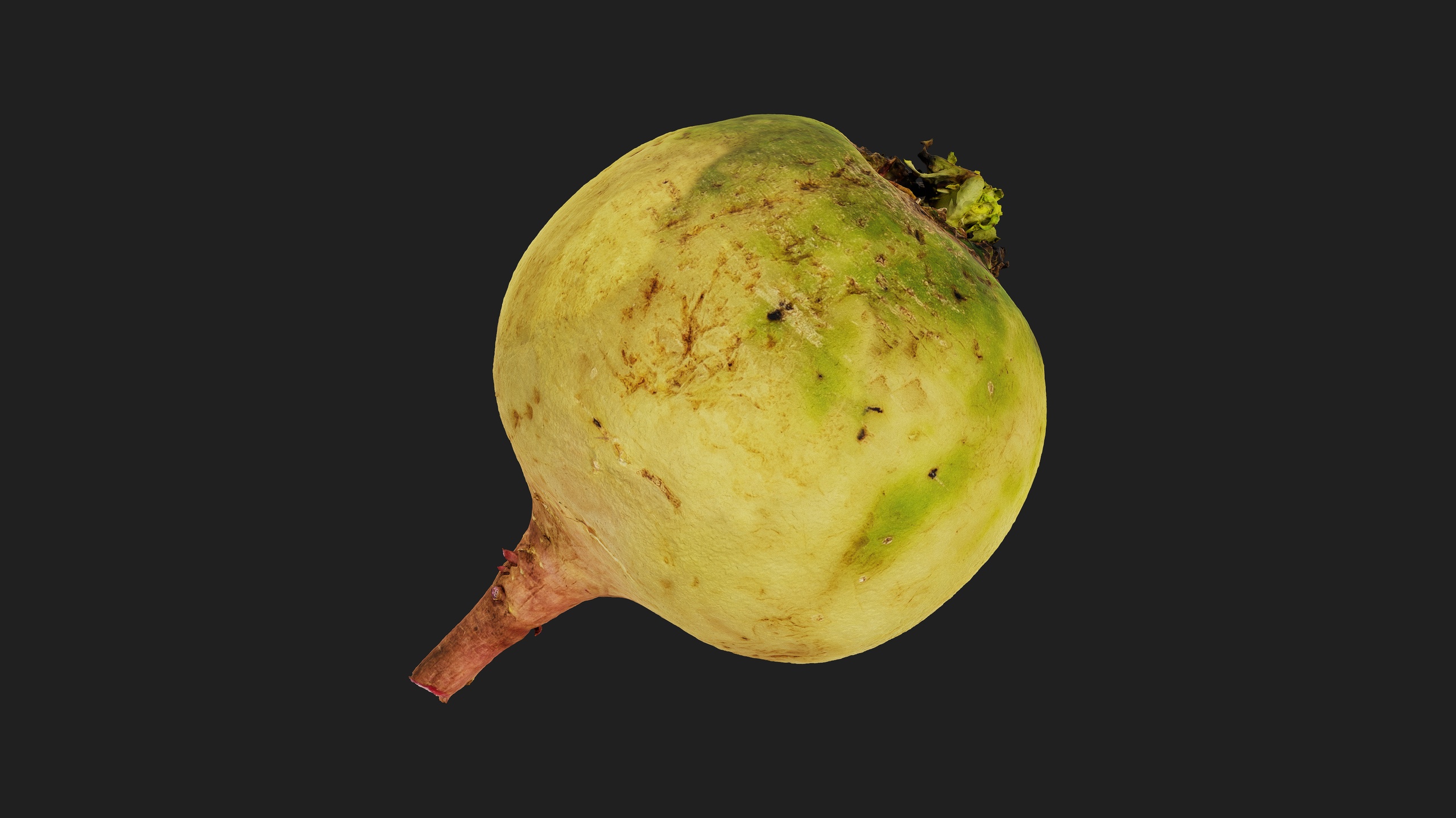 Media 1 for listing Radish