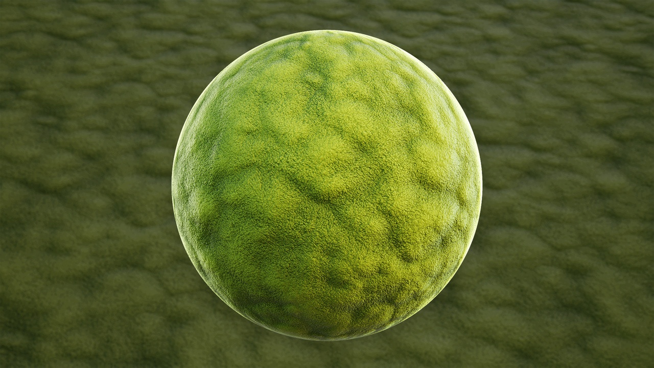 Media 1 for listing Stylized Moss 01A - Material