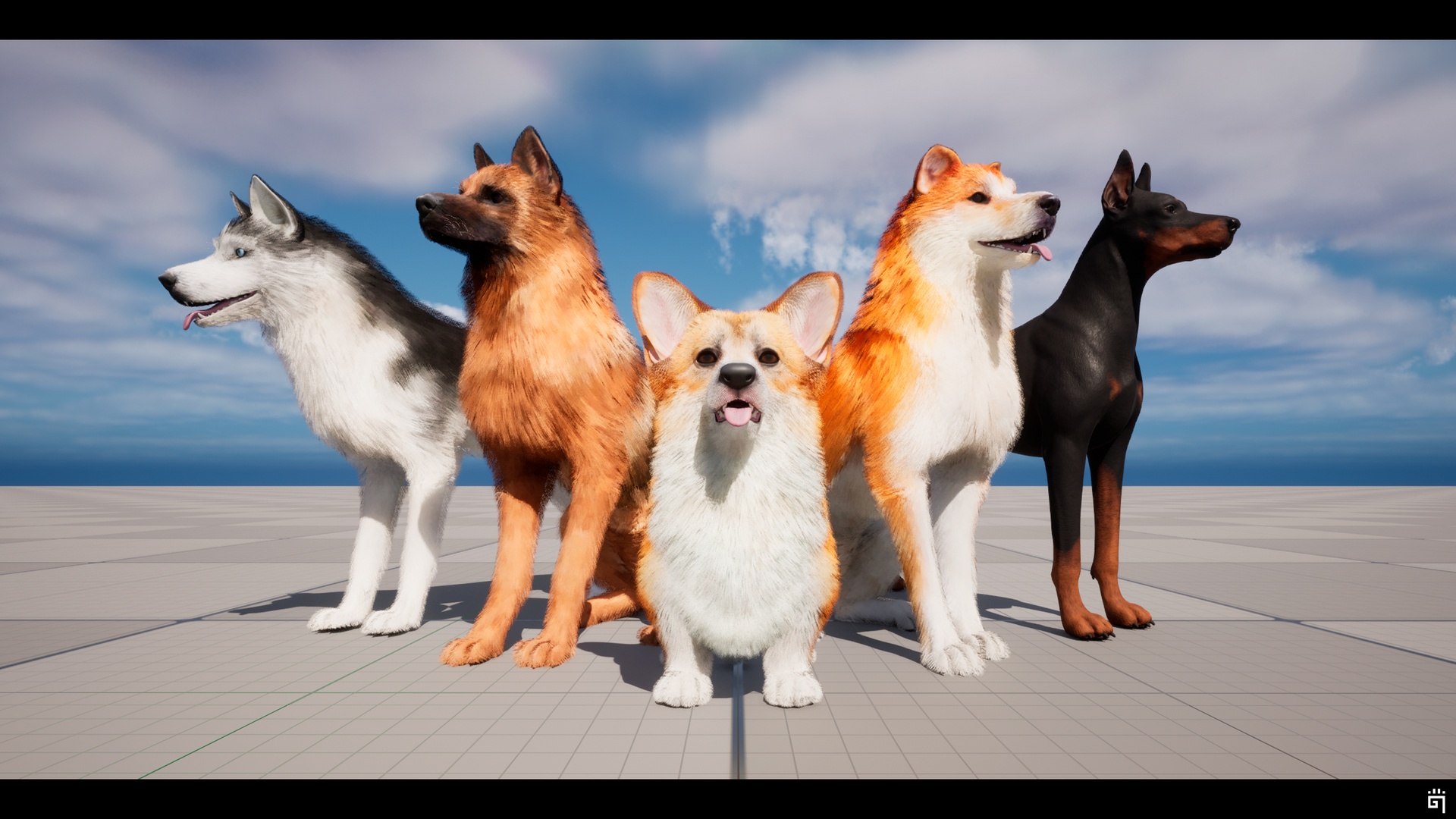 Media 1 for listing Next Gen Dog / Dogs