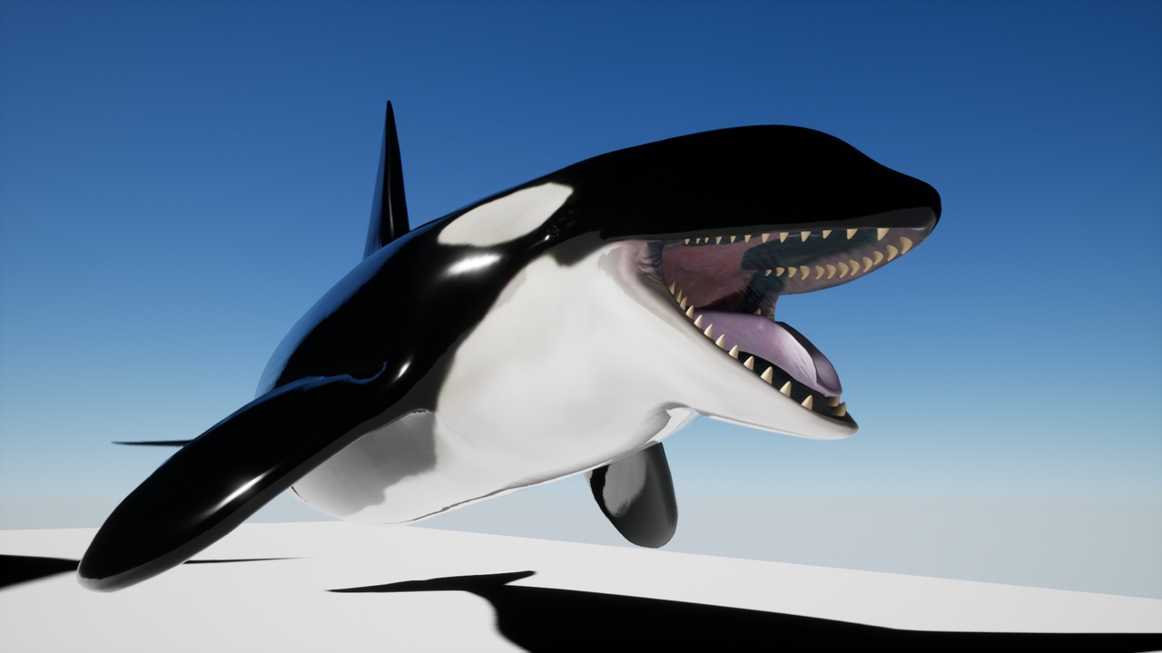 Media 1 for listing Orca