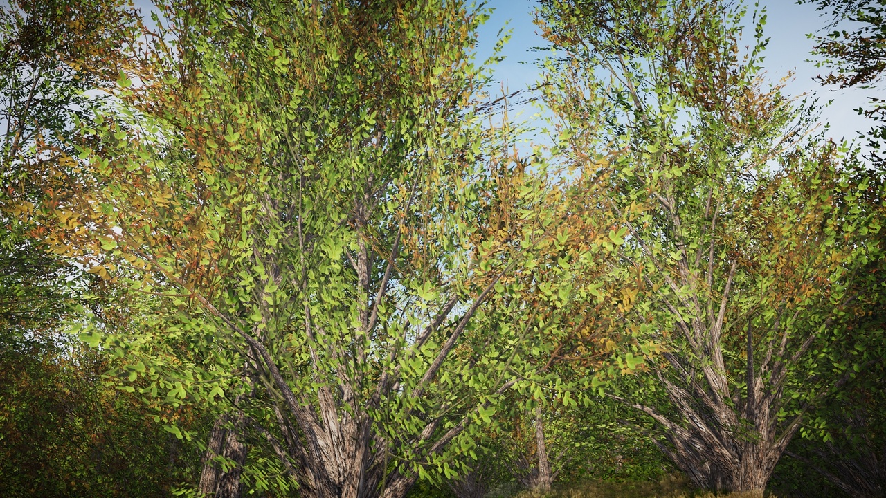 Media 1 for listing Mobile Trees Pack 45