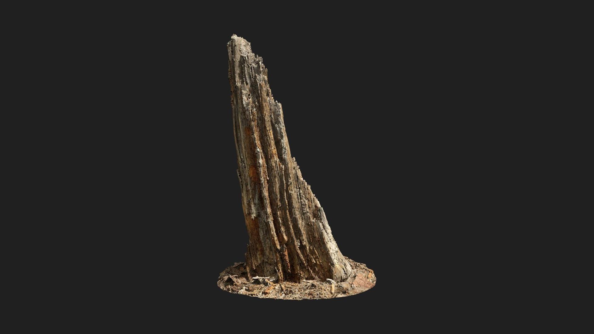 Rotten Tree Stump | Fab