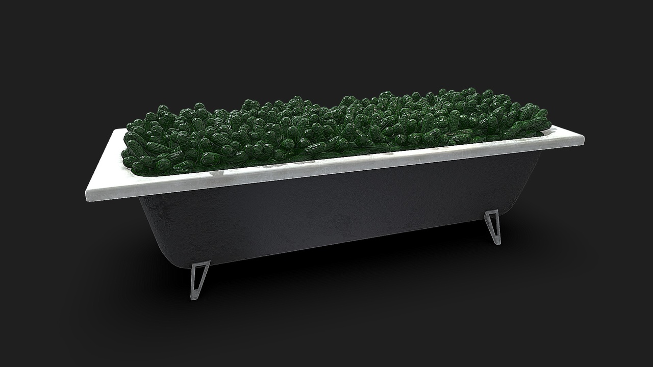 Media 1 for listing A bath with cucumbers.