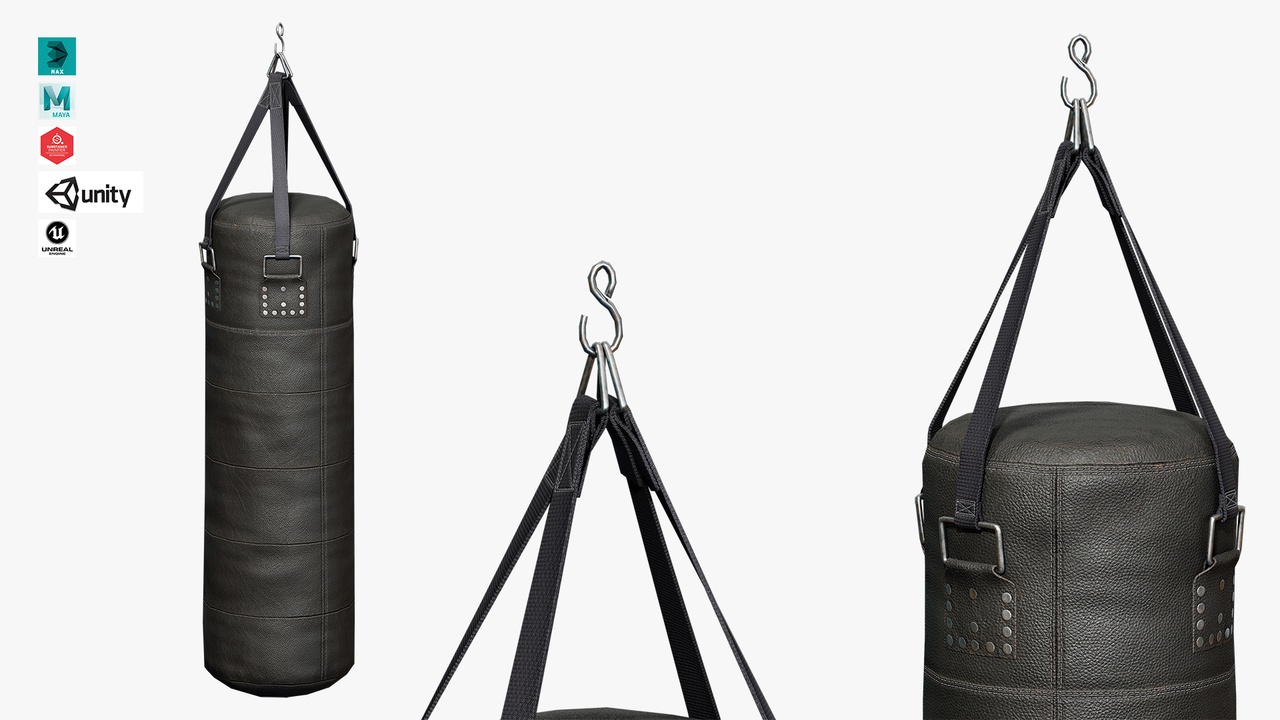 Media 1 for listing Punching Bag