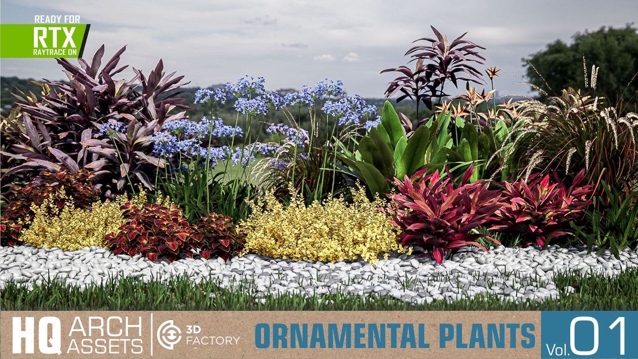 HQ Ornamental Plants Vol. 1 제품 등록을 위한 미디어 1개