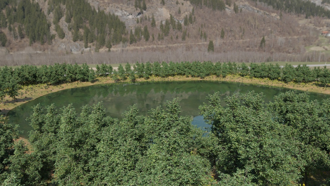 Media 1 for listing Forest Lake Oasis 3d scene