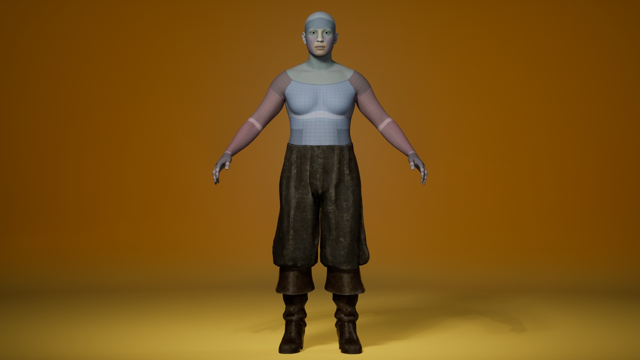 Media 1 for listing Pirate Bottom (Var. 5) - Metahuman