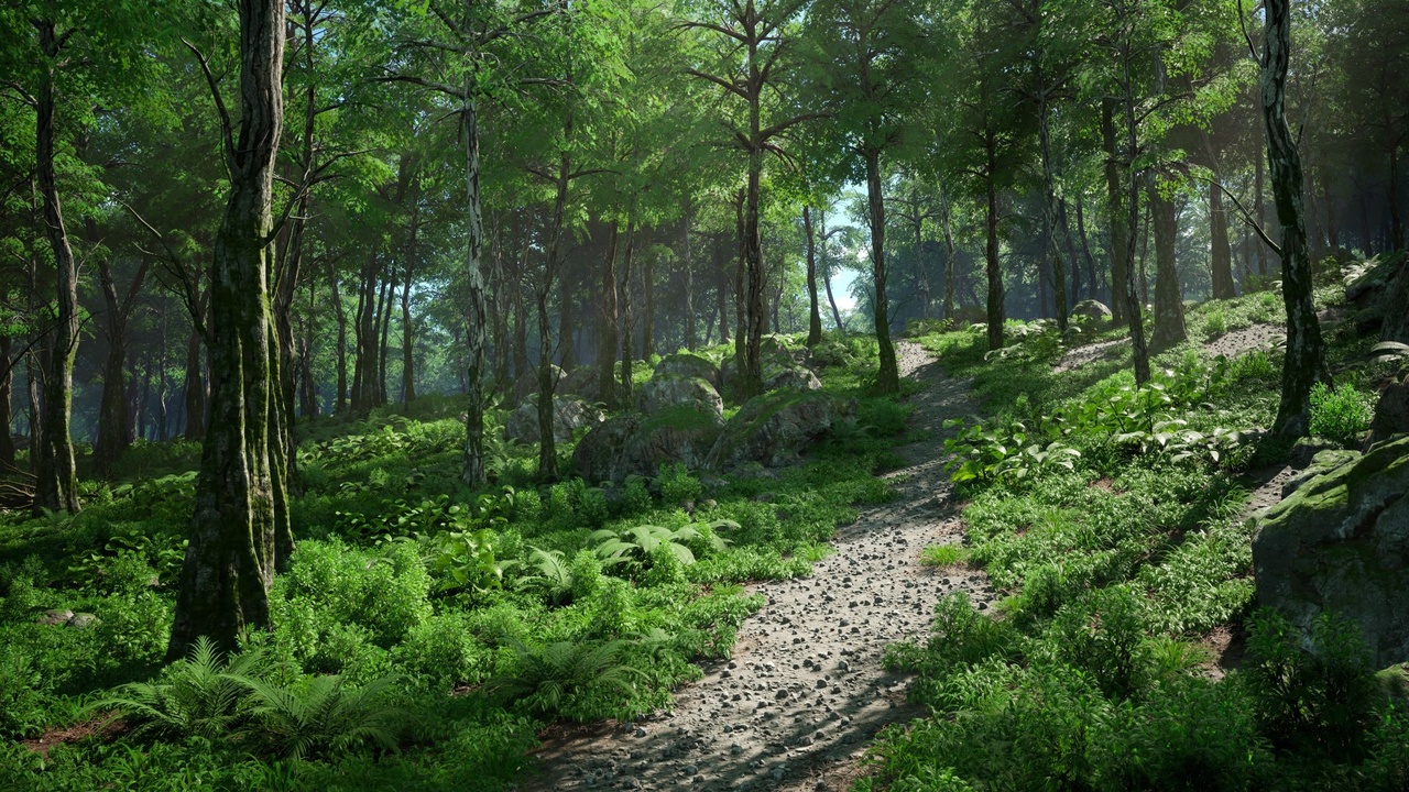 Media 1 for listing Realistic Forest Biome