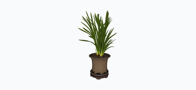 Miniatura di un asset creato da 1005