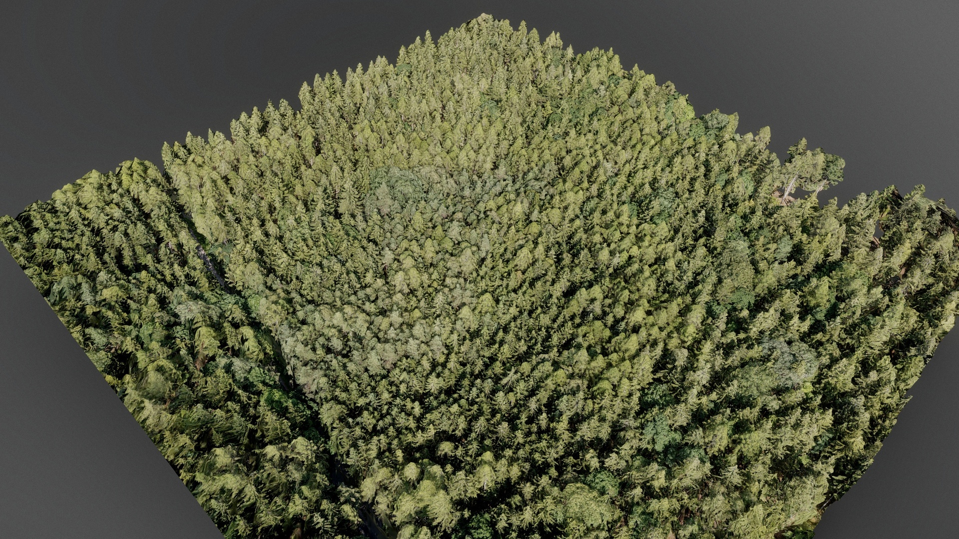 Media 1 for listing Brdy forest