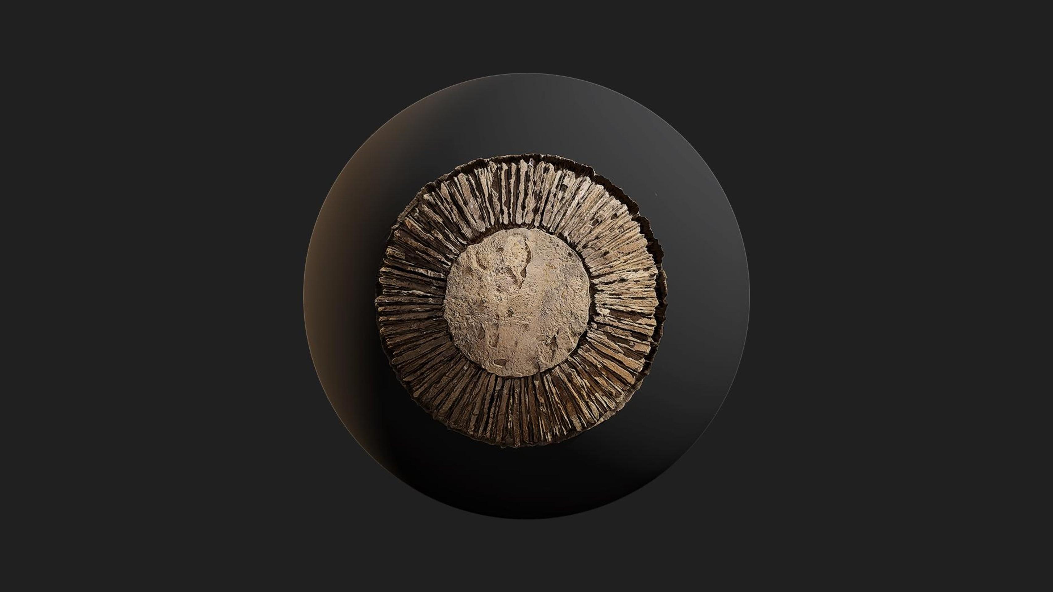 Stone Round Cut Design | Fab