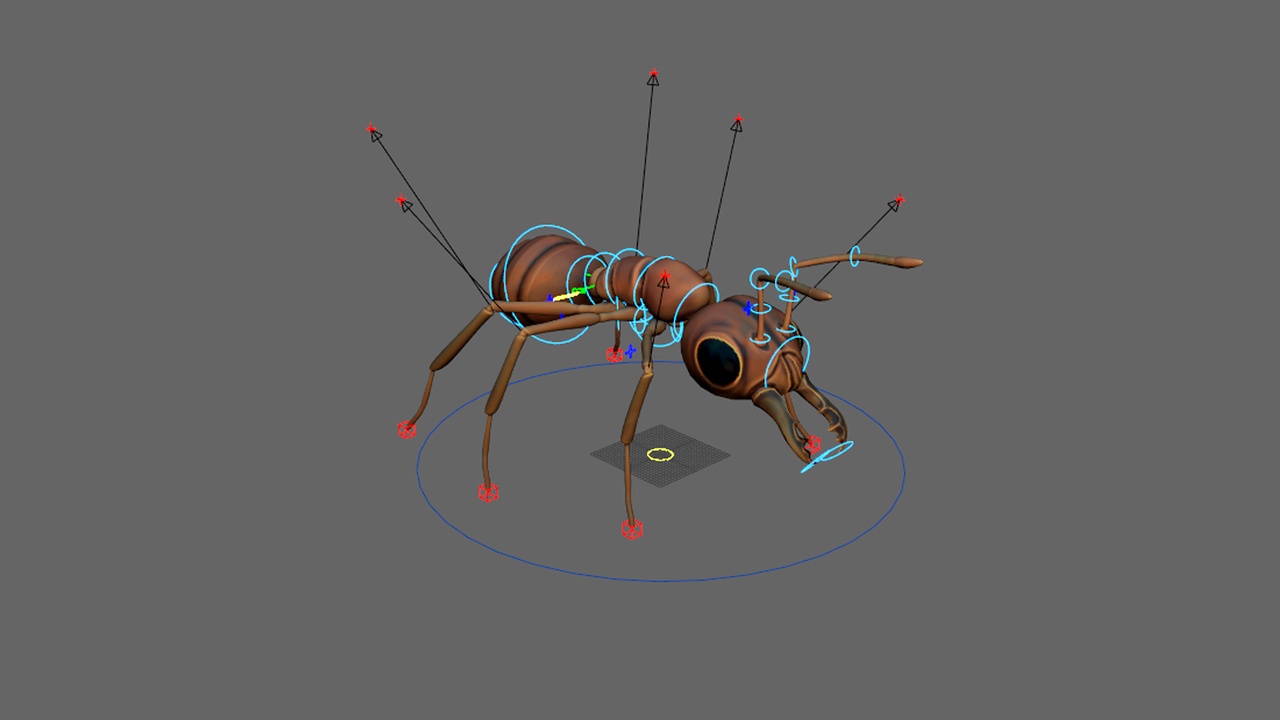 Media 1 for listing Cordyceps Ant MAYA RIG
