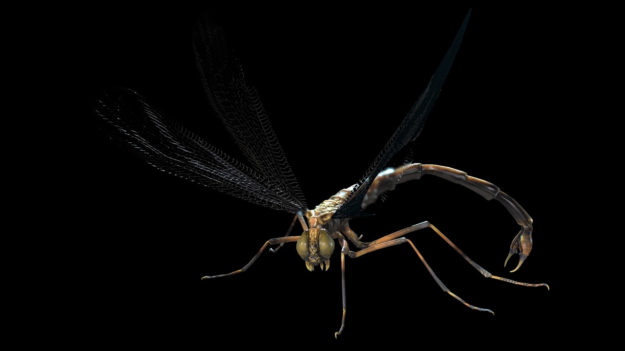 Media 1 for listing Mosquito_Vampire