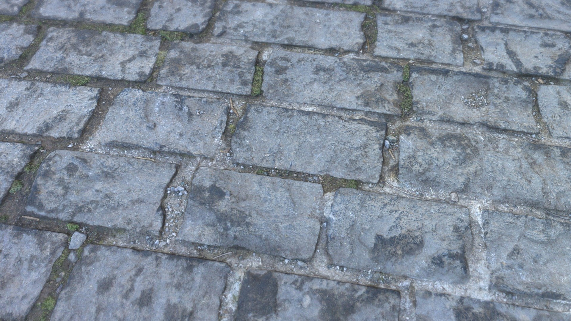 a bit wet cobblestone pavement | Fab