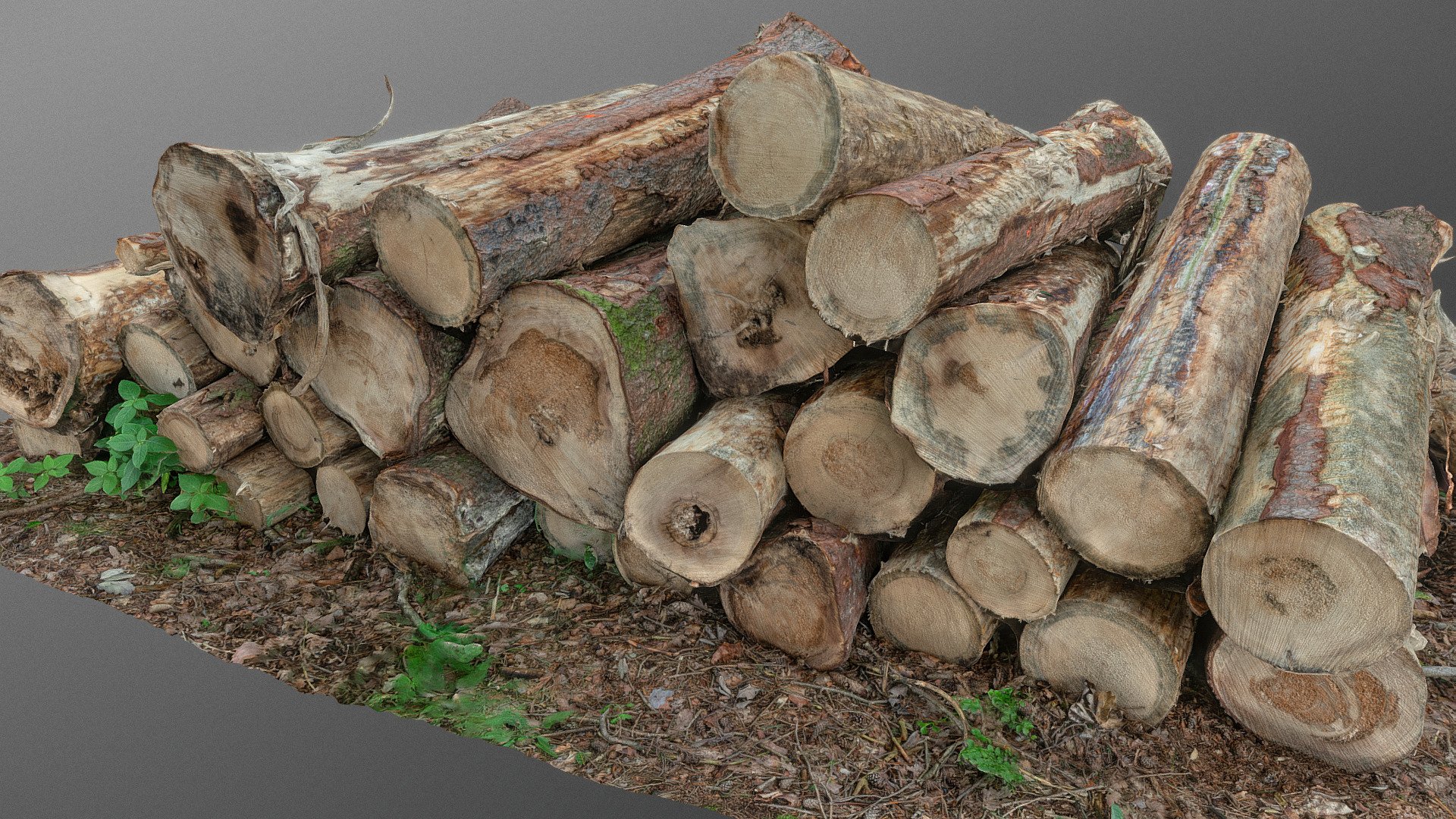 Log pile | Fab