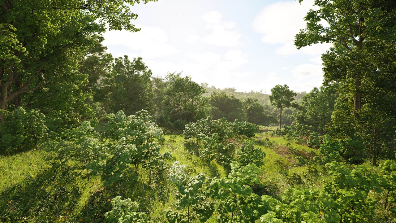 Broadleaf Trees Biome (Ultra Realistic Wind) 제품 등록을 위한 미디어 1개