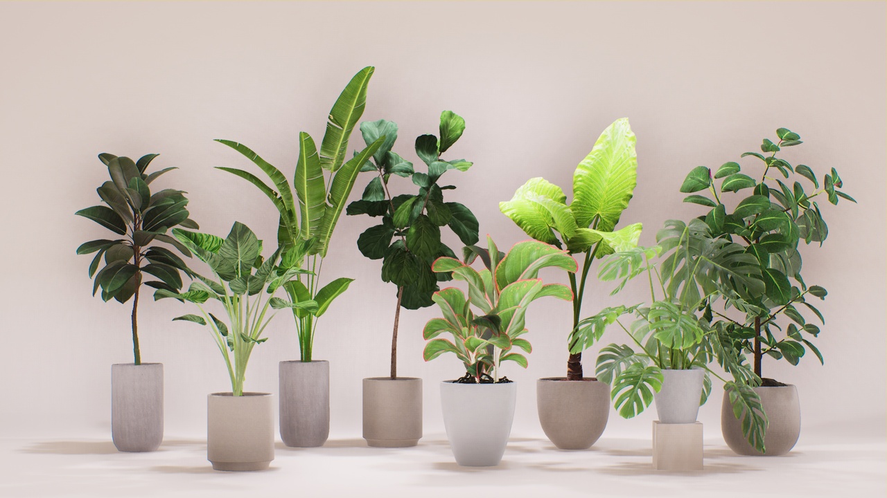 Media 1 for listing PlantDecorVol.2