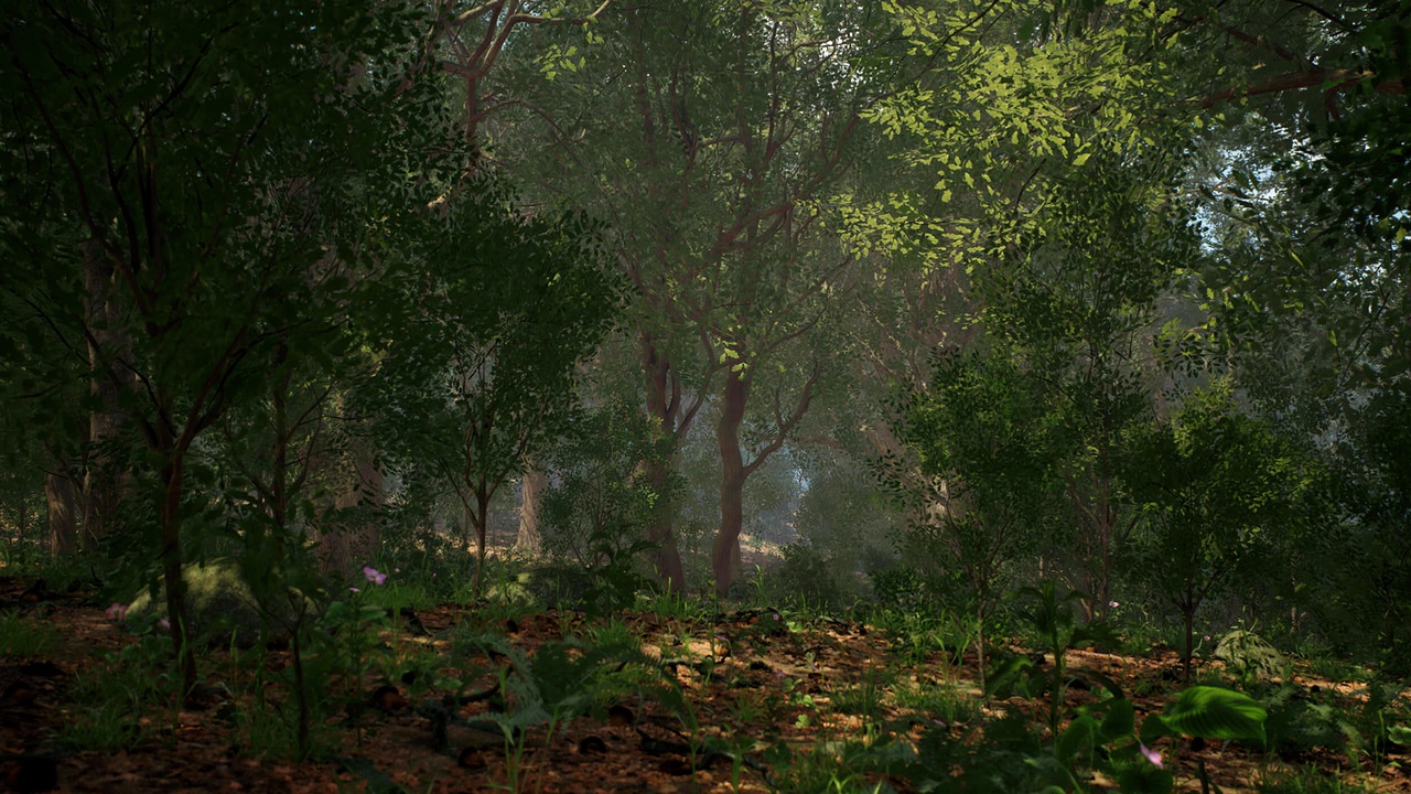 Media 1 for listing Oak Trees Forest Biome