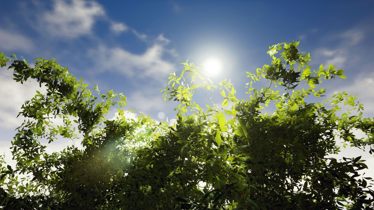 Media 1 for listing Trees Pack Voll_1