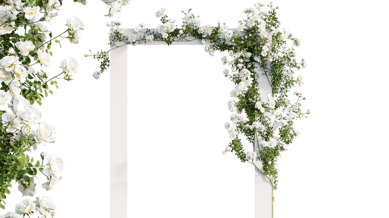 Media 1 for listing Climbing Iceberg Rose 01