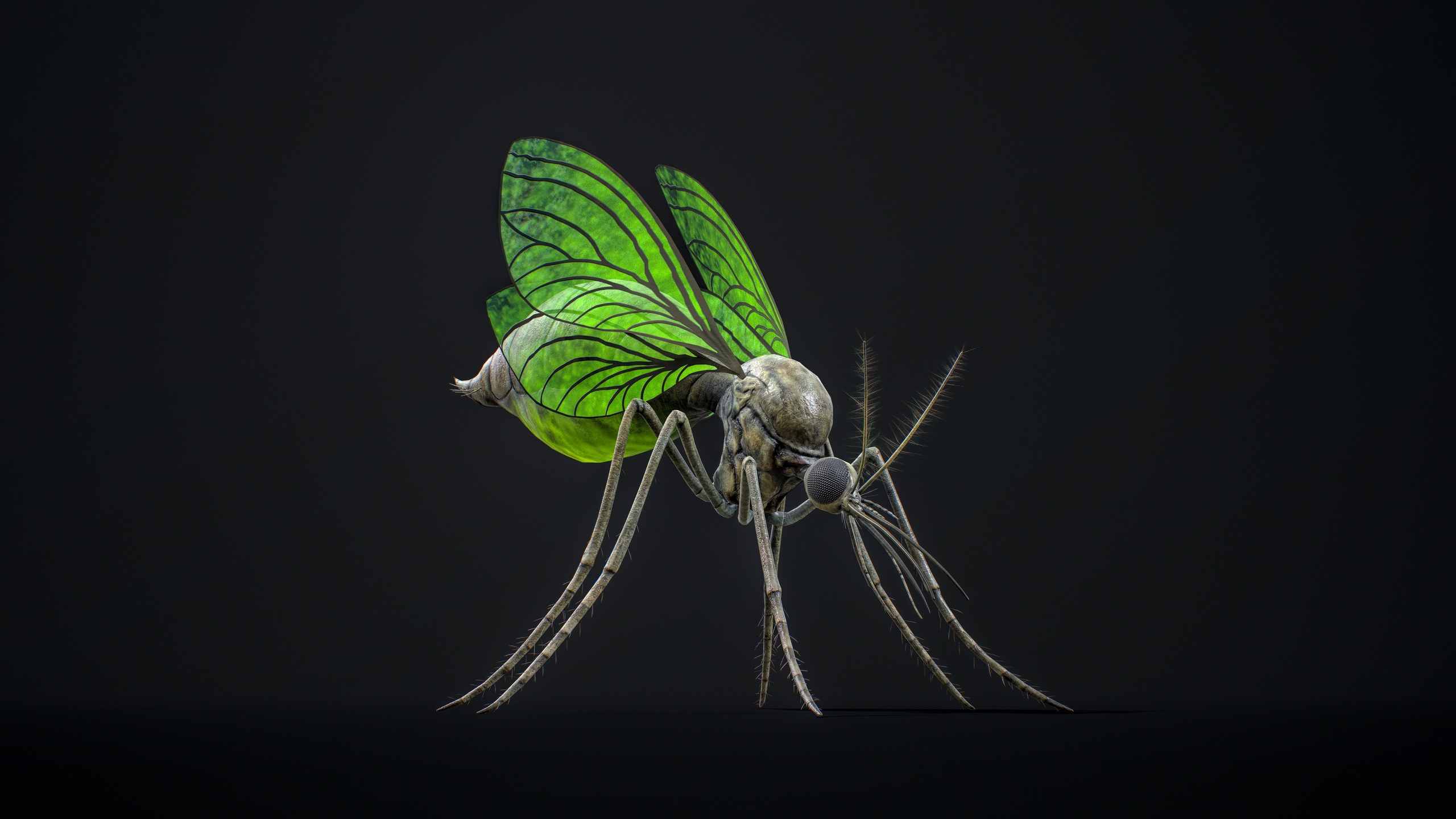 Media 1 for listing Mosquito Defender - Fantasy Poison Mosquitoes