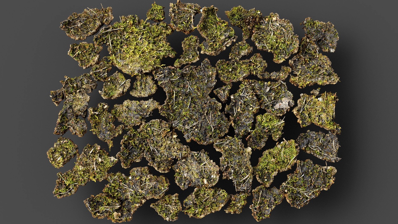 Media 1 for listing ground terrain patch dry soil mossy shards PBR photogrammetry