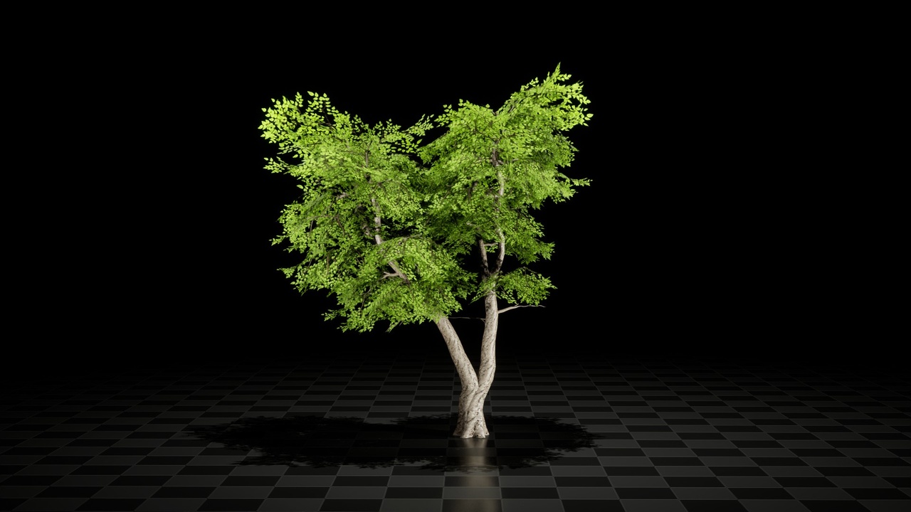 Media 1 for listing Realistic Trees Pack 8