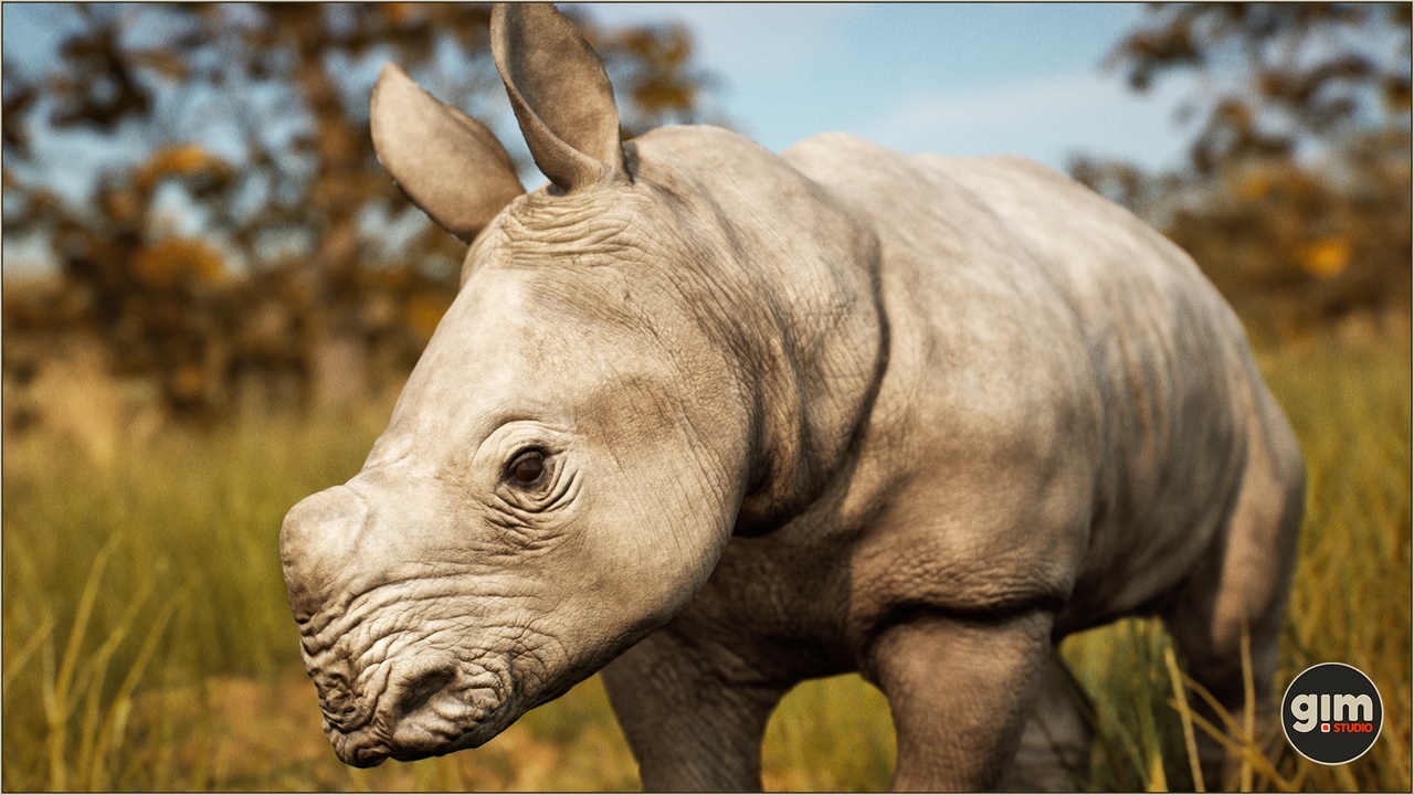 Media 1 for listing Animalia - White Rhinoceros (young)