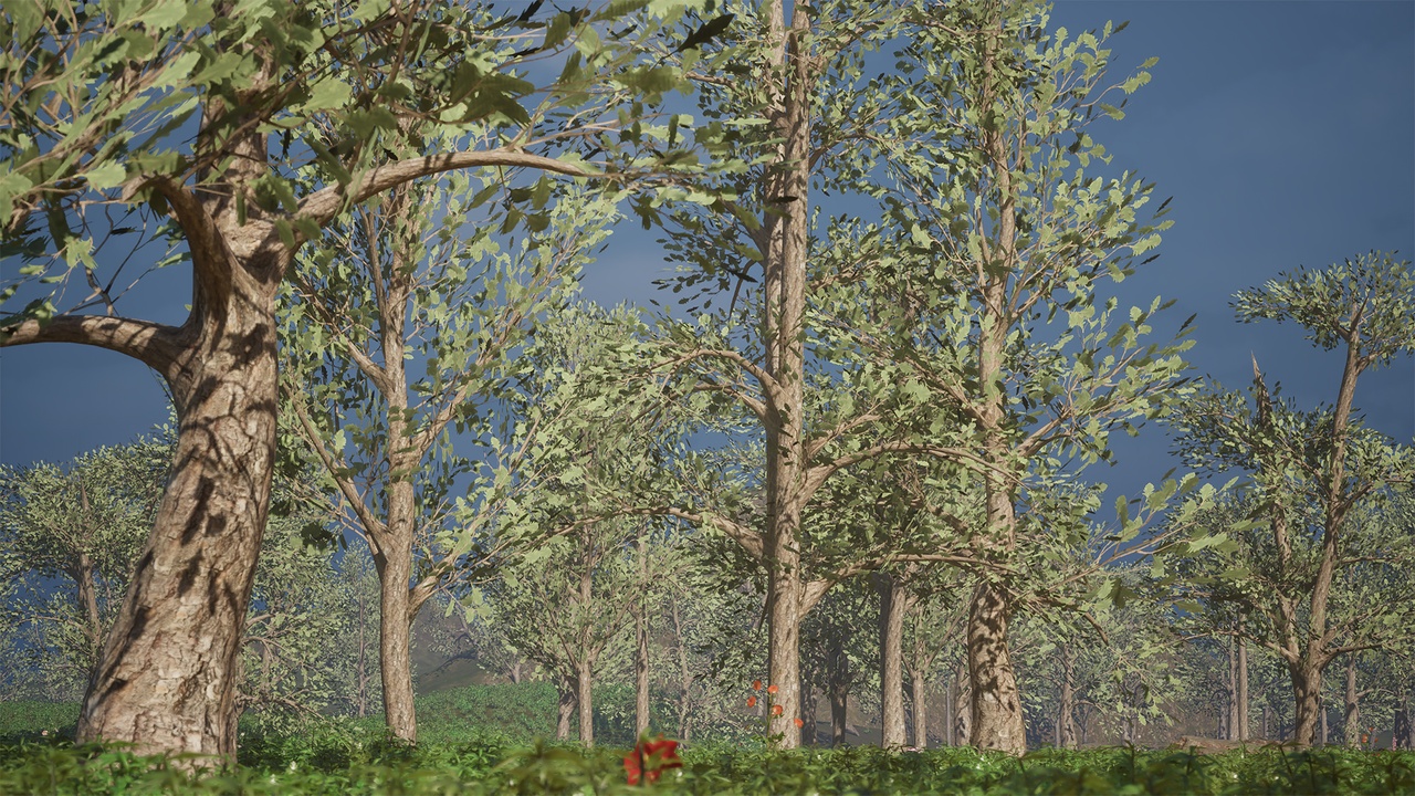 Media 1 for listing Realistic Low Poly Tree Pack 58M