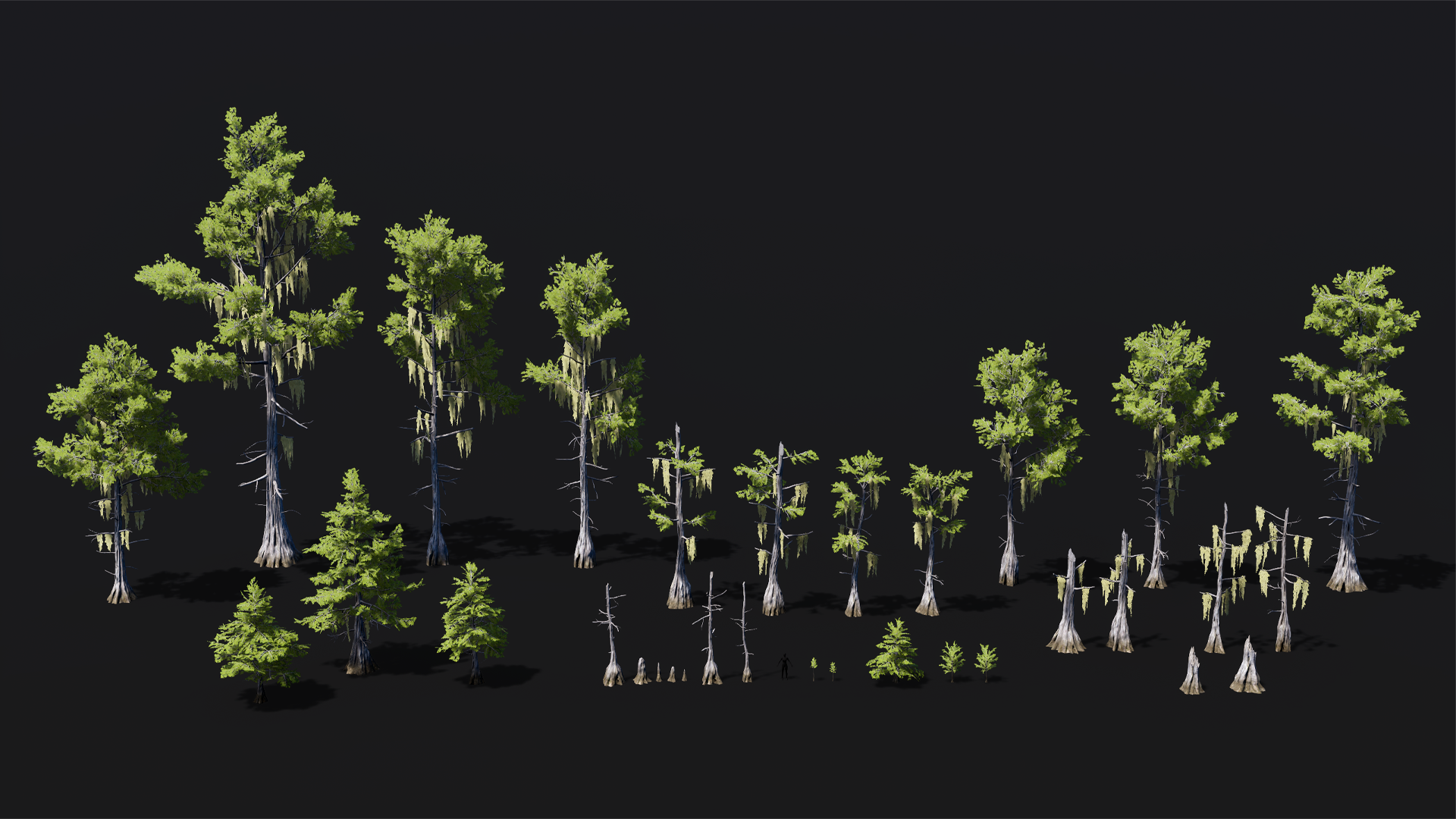 Mid Poly Asset Bald Cypress trees pack of 32 mid poly assets | Fab