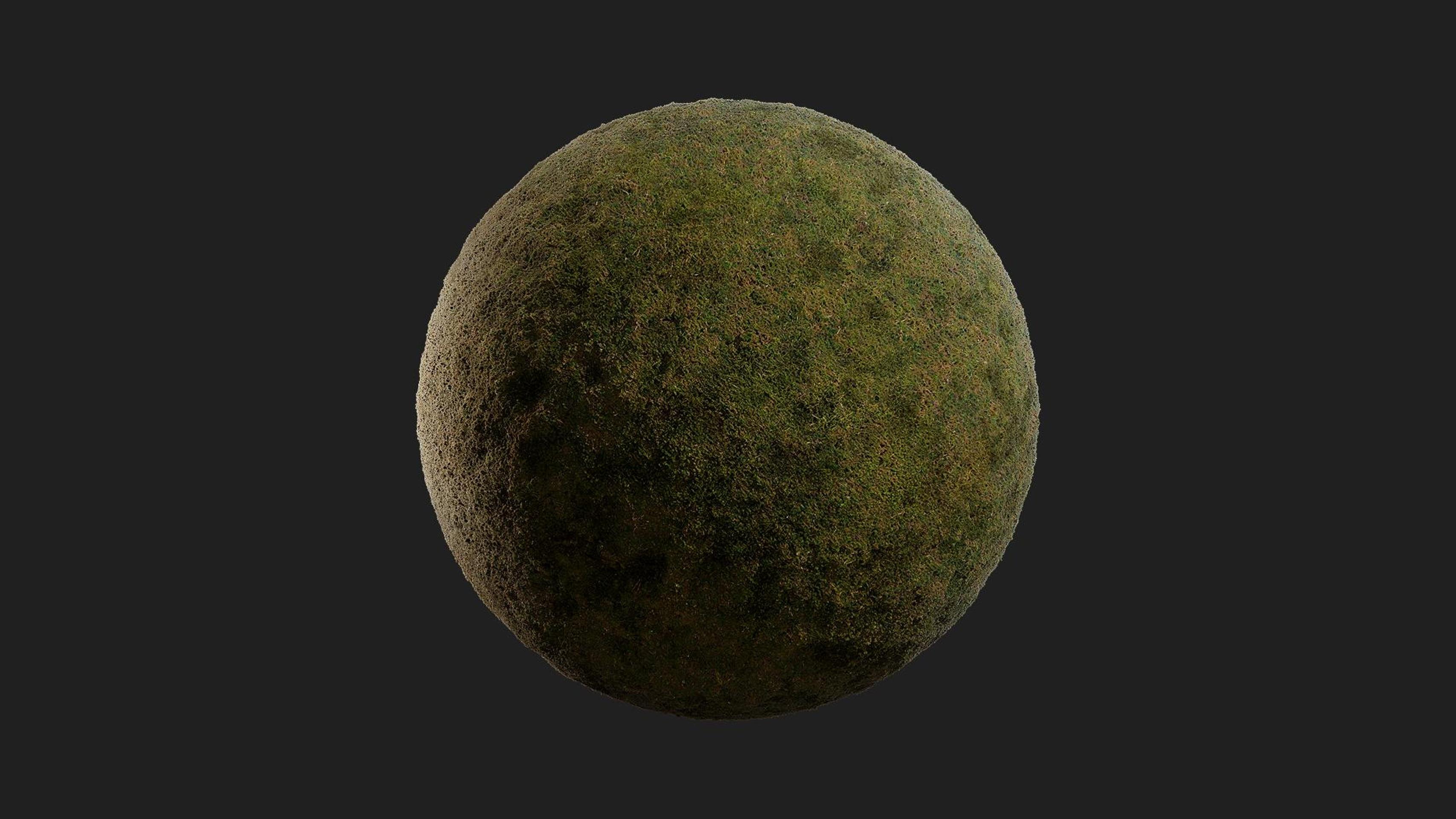 Nordic Moss