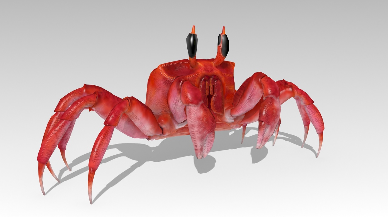 Media 1 for listing Crab
