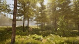 Asset image