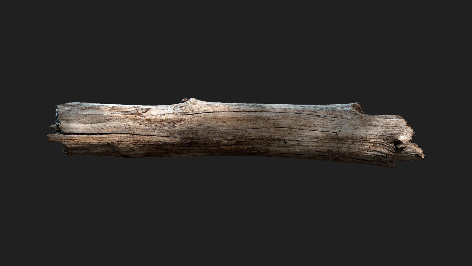 Wooden Branch | Fab