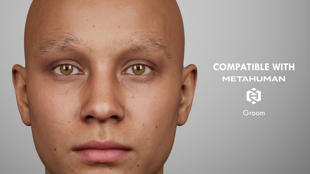 Media 1 for listing Aged Male Eyebrow Groom Pack for MetaHuman