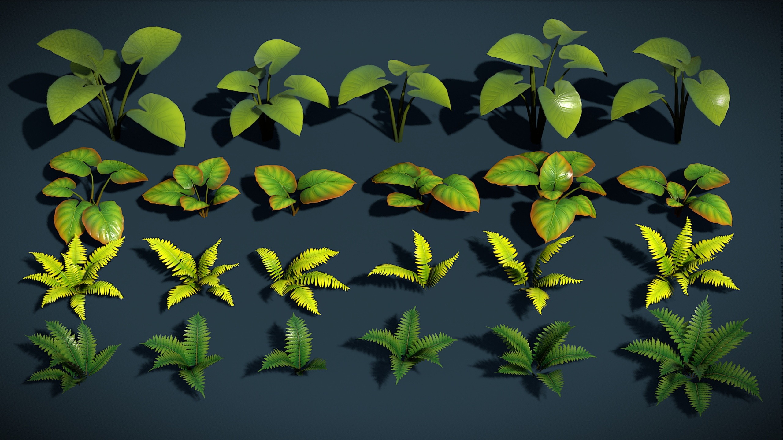 Media 1 for listing Floralis : Stylized Tropical Plants,Fern & Forest Foliage Collection Vol-1