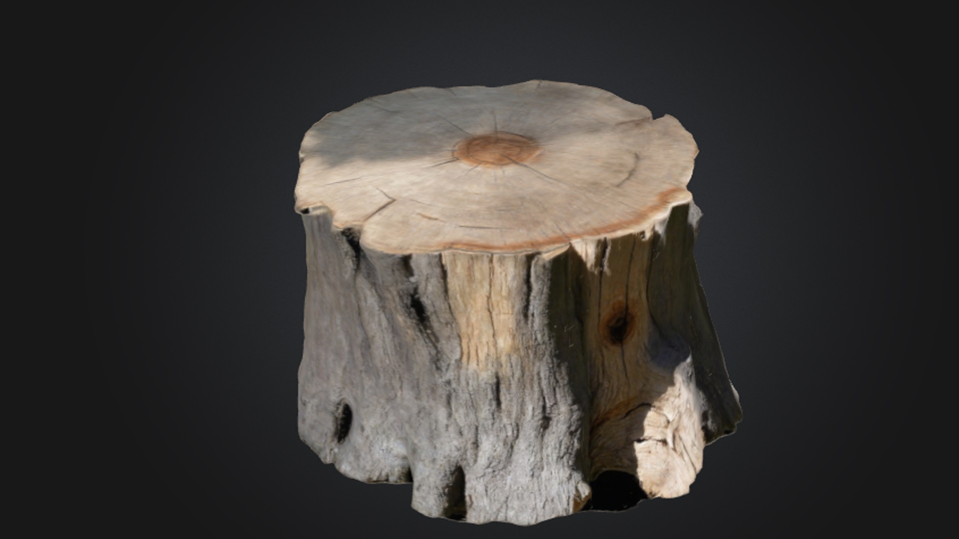 Tree Stump | Fab