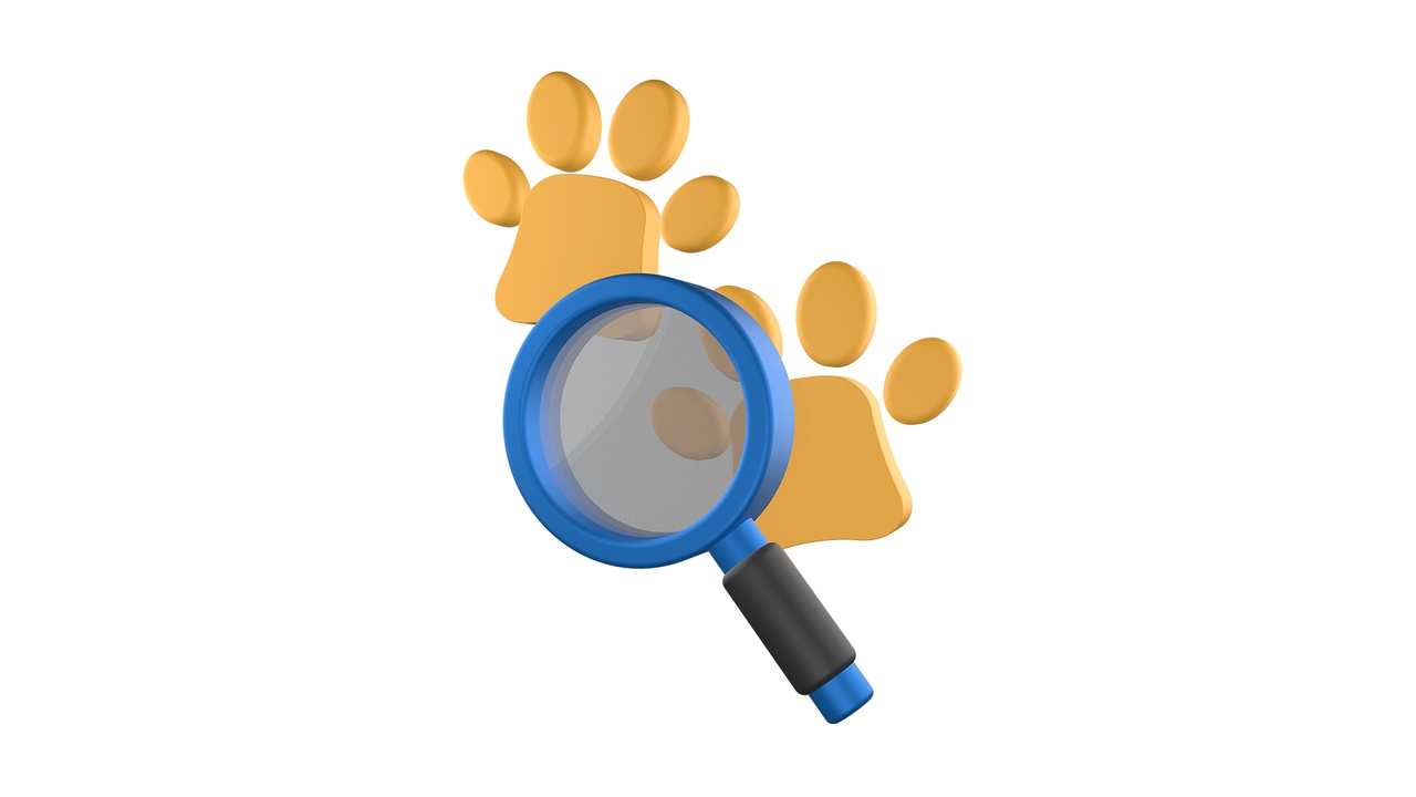 Media 1 for listing Paw Investigation