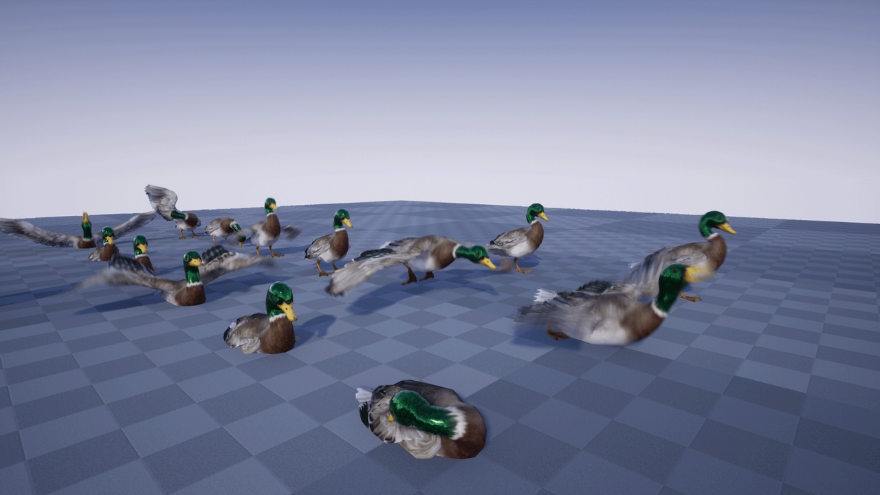 Media 1 for listing DUCK