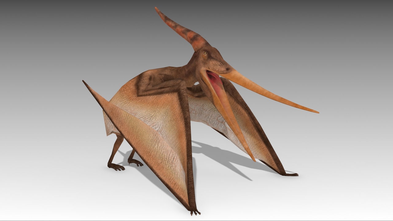 Pteranodon ilanı için 1. medya