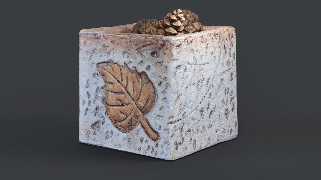 Media 1 for listing Small Deecor Vase with Pinecones
