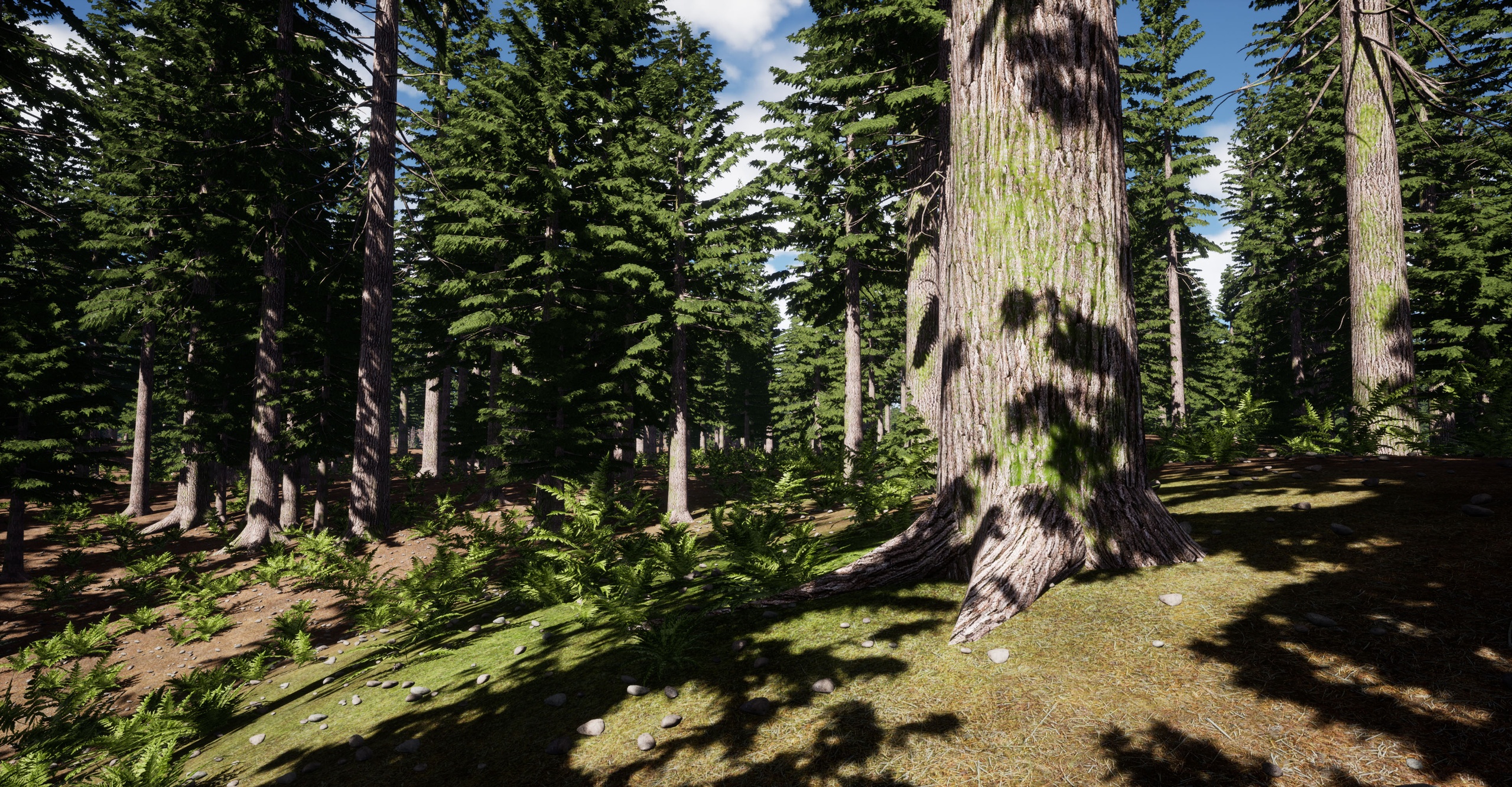 Media 1 for listing Trees Pine Hemlock Tree
